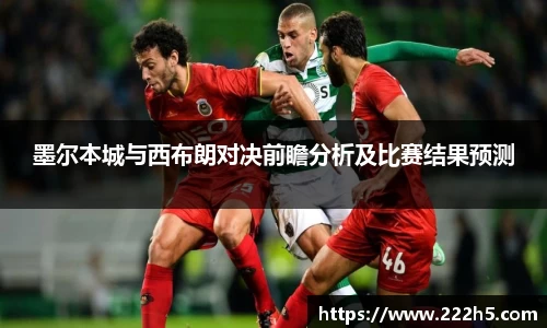 墨尔本城与西布朗对决前瞻分析及比赛结果预测